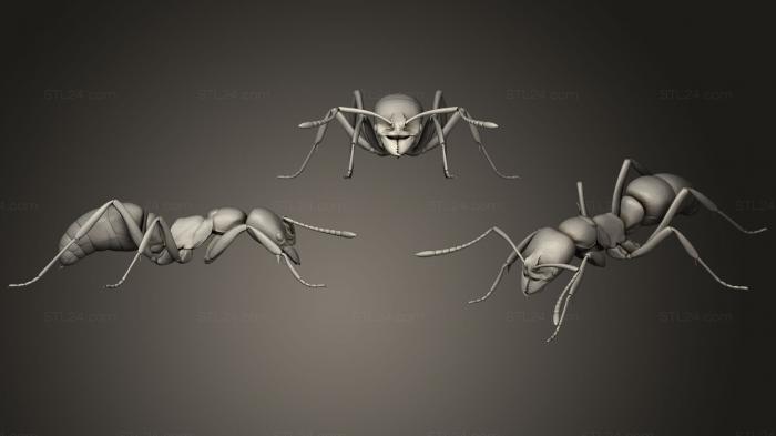 Статуэтки животных (Тест на ходьбу муравья, STKJ_1651) 3D модель для ЧПУ станка